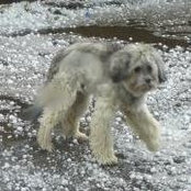 Tracey Danks's photo