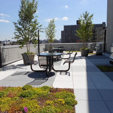 West 143rd Street Terraces -- 11th Floor Terrace with Swathes of Green Roof Tray