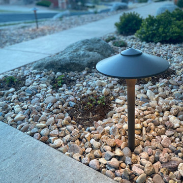 Wrap around landscape renovation | Arvada, CO