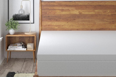 Mid-sized danish guest light wood floor and gray floor bedroom photo in Phoenix with white walls and no fireplace