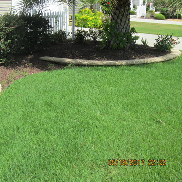 Healthy grass is no a mistake