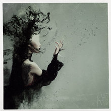 Art for walls