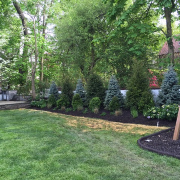 Landscape Bed: Planting Installation
