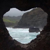 Laura Bisaccio's photo