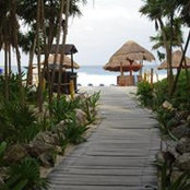 Ron Raley's photo