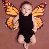 Kevin Park's photo