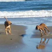 Lisa Warfield's photo