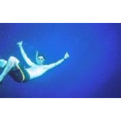 Peter Youssef's photo