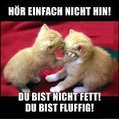 Foto von Susanne Ludden