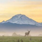 Tory Horsman's photo