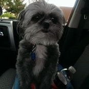 Michael Yeager's photo