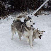 Suzanne Nielsen's photo