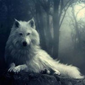Sheri Kruger's photo