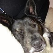 Ben's photo