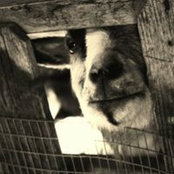 Brian Atwell's photo