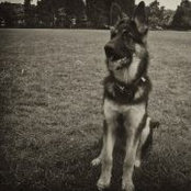 Dariusz Mikolajewski's photo