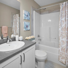basement bath favorites