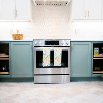 Chapin Home Remodel