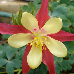 Planting - Garden Products