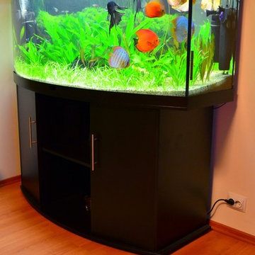 Custom Residential Aquarium Installations