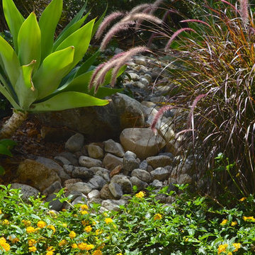 An Urban Oasis