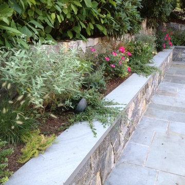 Wall Garden
