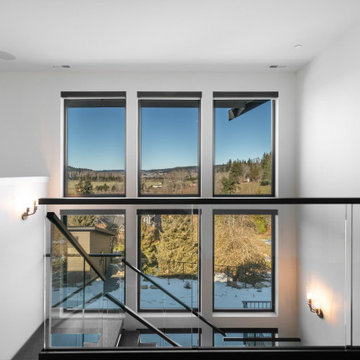 Modern/Transitional tear down rebuild