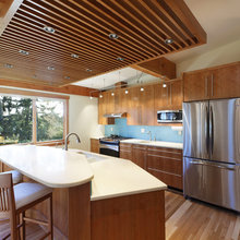 Ceiling lowering devises