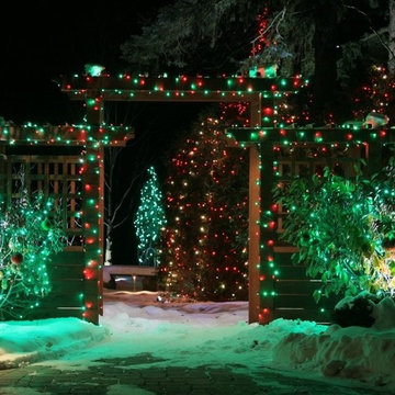 Festive Colored Lights!