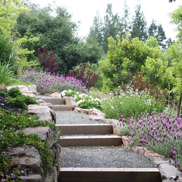 Dramatic Hillside Garden