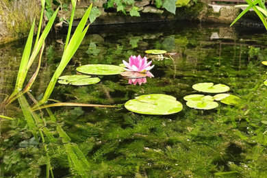 Esempio di un giardino