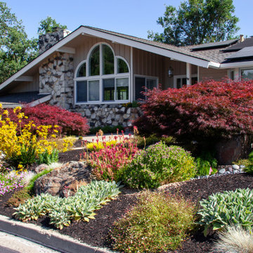 Project 7 - Front Yard