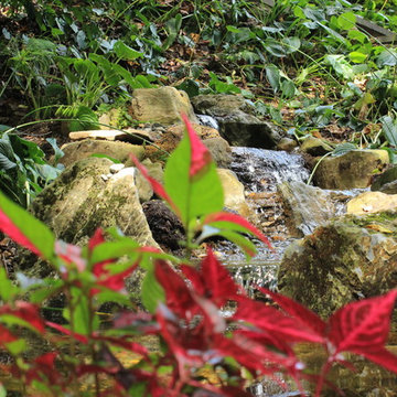 Ecosystem Ponds