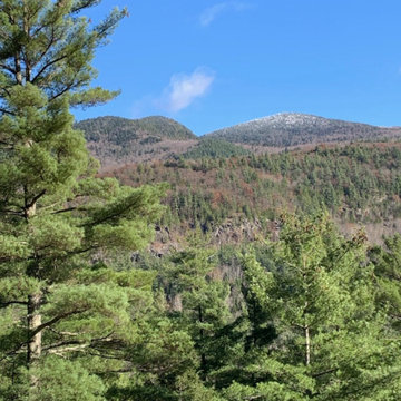 View East - early fall