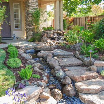 Front Yard