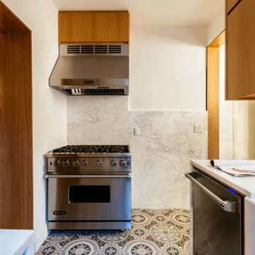 Columbia Heights kitchen remodel