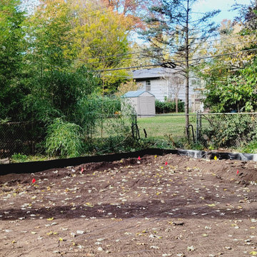 Bamboo Backyard