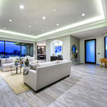 Laguna Beach Contemporary