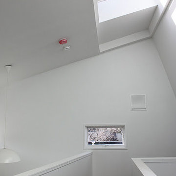 Our Modern Green Home Project in Collaboration with Acclaimed Architect Douglas