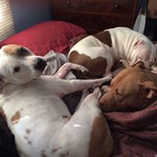 Susie Bruckschen's photo