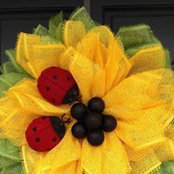 Donna Gaspero's photo