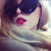 Blushing Rose's photo