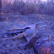 Beau Hotard's photo