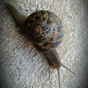 Jennifer Meier's photo