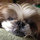 deb_sheets24