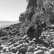 Christopher Reimann's photo