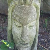 Alice Ridgewell's photo