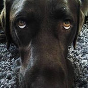 Suzanne Stoltz's photo