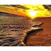 Ashton Howard's photo