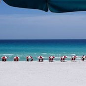 Ellen Mossman's photo